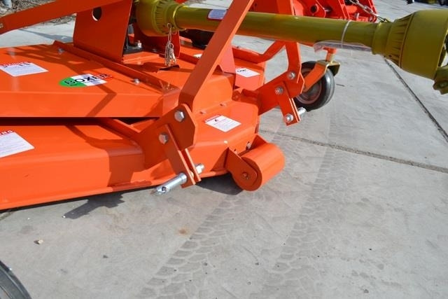 - - - boxer - Segadora: foto 3 - - - boxer - Segadora: foto 3