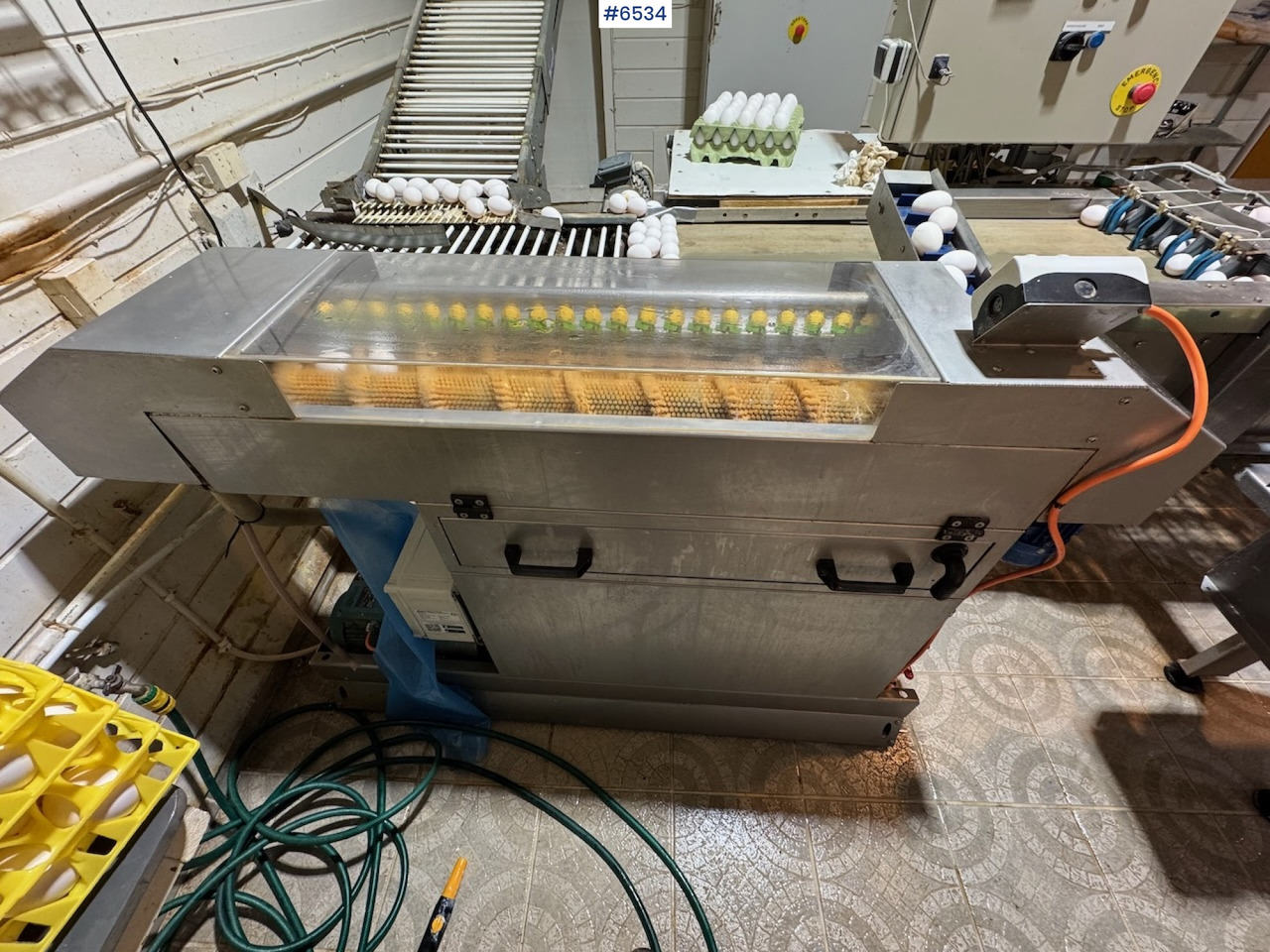 2021 Mach-C Offline S Egg Washer. - Maquinaria ganadera: foto 5 2021 Mach-C Offline S Egg Washer. - Maquinaria ganadera: foto 5