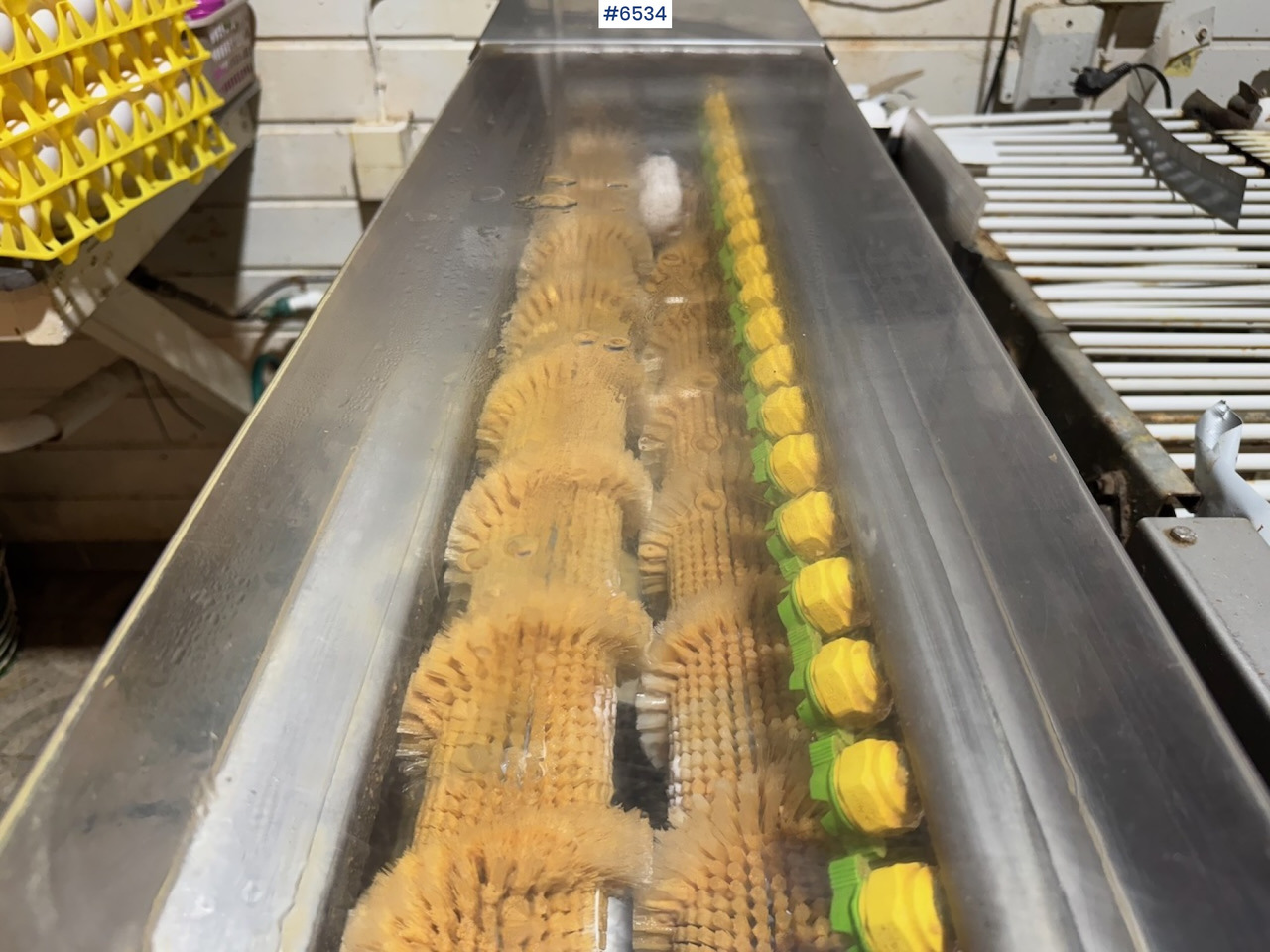 2021 Mach-C Offline S Egg Washer. - Maquinaria ganadera: foto 4 2021 Mach-C Offline S Egg Washer. - Maquinaria ganadera: foto 4