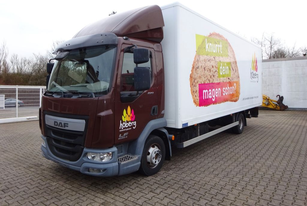 DAF LF 220 Koffer mit Palfinger LBW 4x2 - Furgoneta caja cerrada: foto 2 DAF LF 220 Koffer mit Palfinger LBW 4x2 - Furgoneta caja cerrada: foto 2