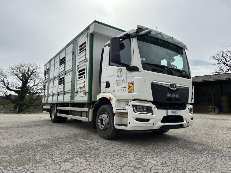 MAN M 90 15.290 TGM - Camión transporte de ganado: foto 4 MAN M 90 15.290 TGM - Camión transporte de ganado: foto 4