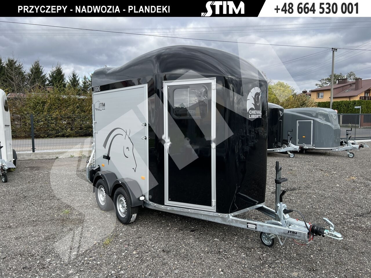 Remolque para caballos Cheval Liberté GOLD ORIGINS: foto 6 Remolque para caballos Cheval Liberté GOLD ORIGINS: foto 6