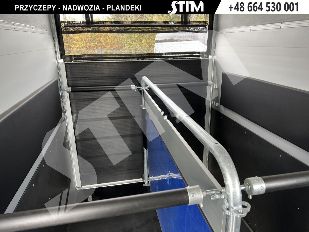 Remolque para caballos Cheval Liberté GOLD ORIGINS: foto 10 Remolque para caballos Cheval Liberté GOLD ORIGINS: foto 10