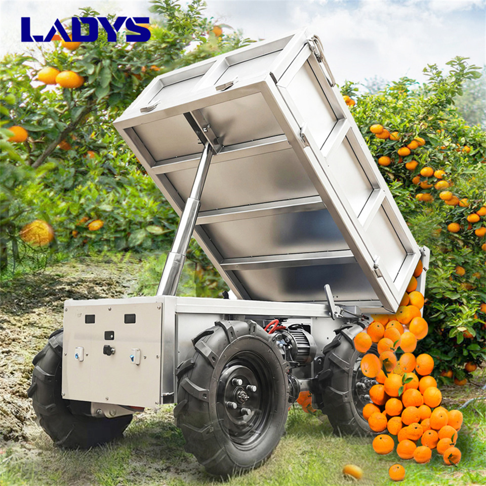 LADYS Electric Remote Control Transporter Agricultural Orchard Farm Electric Utv Dump Trailer Material Handling Equipment All Terrain Transport Vehicle - Cuadrimoto: foto 5 LADYS Electric Remote Control Transporter Agricultural Orchard Farm Electric Utv Dump Trailer Material Handling Equipment All Terrain Transport Vehicle - Cuadrimoto: foto 5