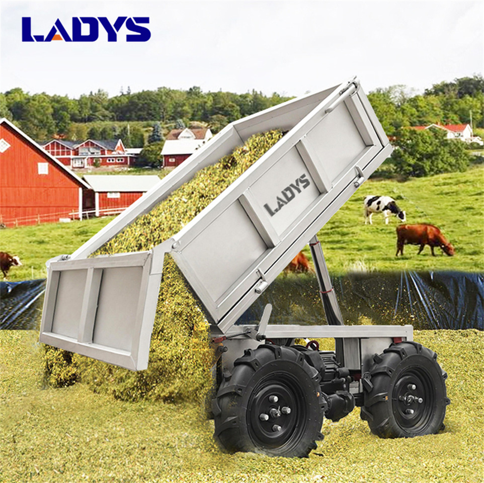 LADYS Electric Remote Control Transporter Agricultural Orchard Farm Electric Utv Dump Trailer Material Handling Equipment All Terrain Transport Vehicle - Cuadrimoto: foto 2 LADYS Electric Remote Control Transporter Agricultural Orchard Farm Electric Utv Dump Trailer Material Handling Equipment All Terrain Transport Vehicle - Cuadrimoto: foto 2
