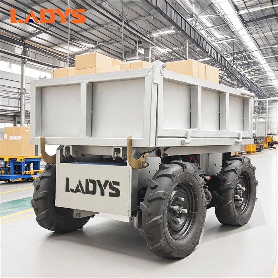 LADYS Electric Remote Control Transporter Agricultural Orchard Farm Electric Utv Material Handling Equipment All Terrain Transport Vehicle - Cuadrimoto: foto 4 LADYS Electric Remote Control Transporter Agricultural Orchard Farm Electric Utv Material Handling Equipment All Terrain Transport Vehicle - Cuadrimoto: foto 4