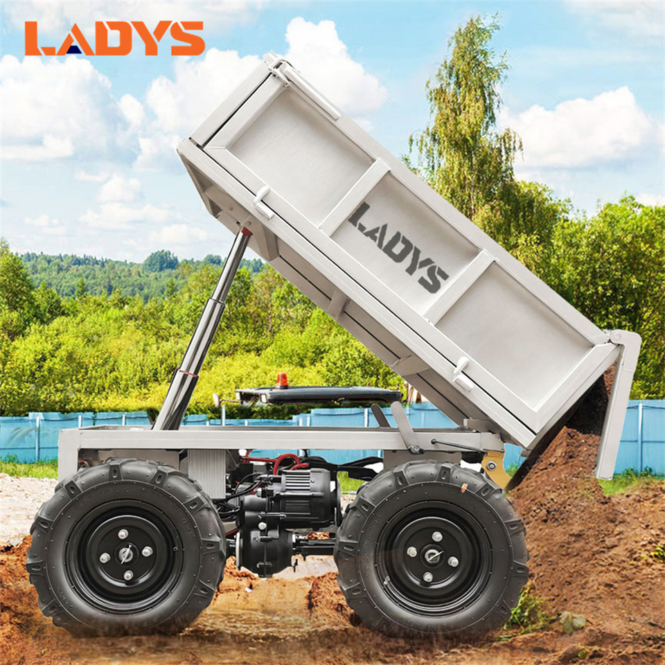 LADYS Electric Remote Control Transporter Agricultural Orchard Farm Electric Utv Material Handling Equipment All Terrain Transport Vehicle - Cuadrimoto: foto 5 LADYS Electric Remote Control Transporter Agricultural Orchard Farm Electric Utv Material Handling Equipment All Terrain Transport Vehicle - Cuadrimoto: foto 5