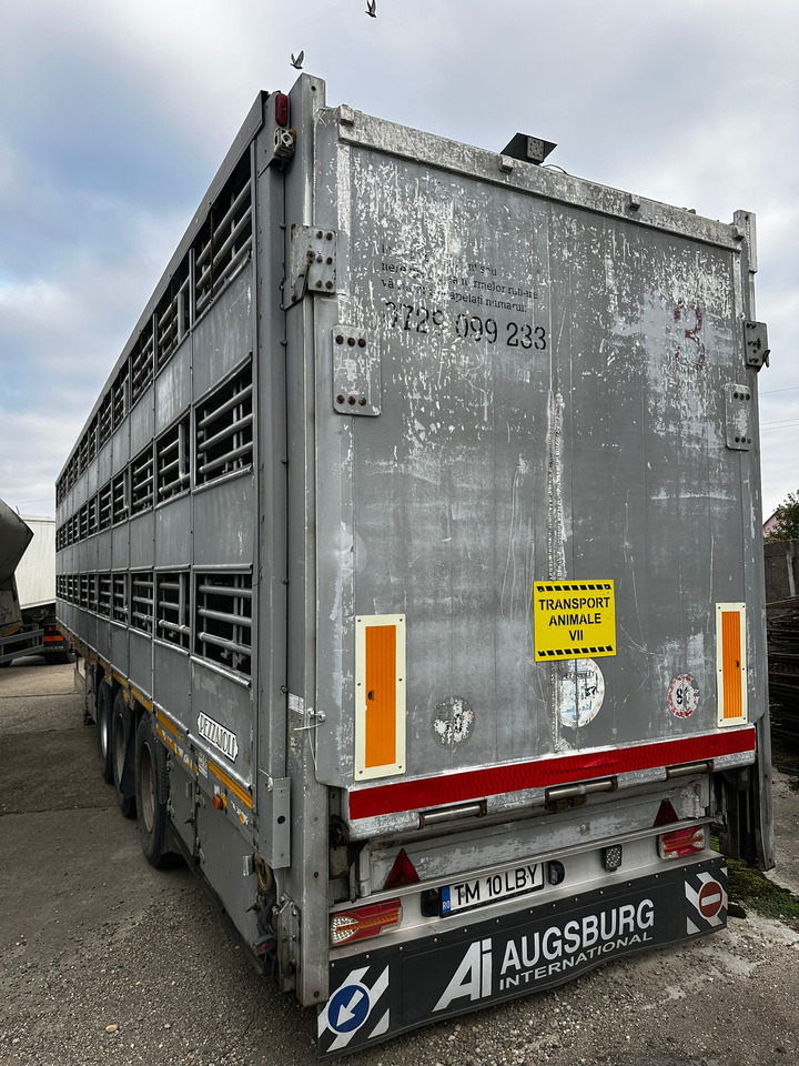 PEZZAIOLLI Animal Transport Semi-trailer - Semirremolque transporte de ganado: foto 4 PEZZAIOLLI Animal Transport Semi-trailer - Semirremolque transporte de ganado: foto 4