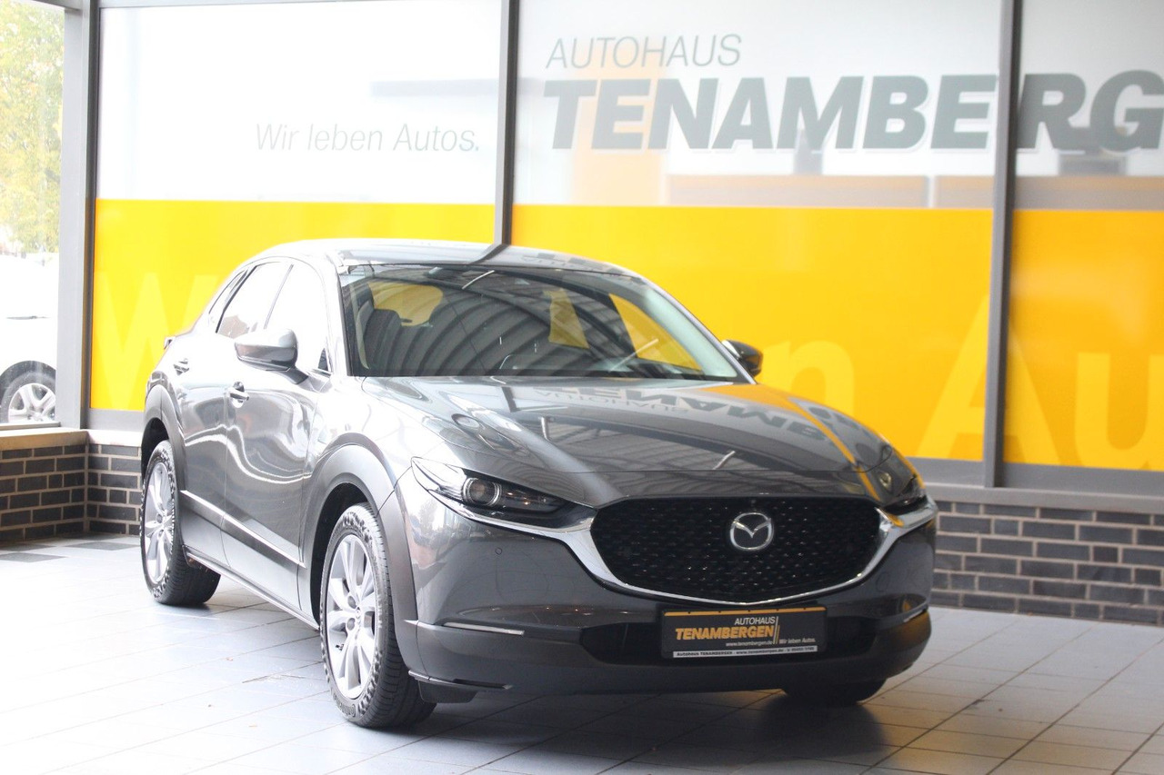 Mazda CX-30 Selection 2WD Matrix Bose HuD Navi SR + WR - SUV/ Todoterreno: foto 2 Mazda CX-30 Selection 2WD Matrix Bose HuD Navi SR + WR - SUV/ Todoterreno: foto 2