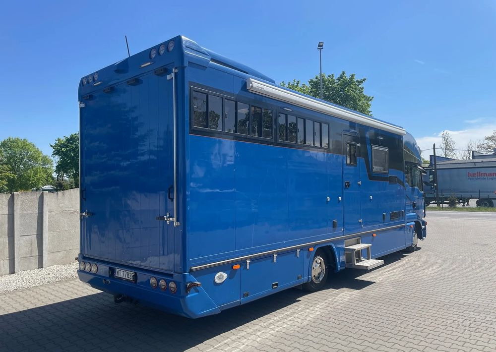 MAN TGL 12.250/ KONIOWÓZ- ROELOFSEN/ 4 KONIE/ - Camión para caballos: foto 4 MAN TGL 12.250/ KONIOWÓZ- ROELOFSEN/ 4 KONIE/ - Camión para caballos: foto 4