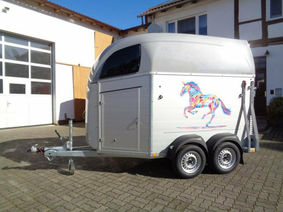 Leasing de  Böckmann Pferdeanhänger, Champion R, ALUBODEN, SaKa, 100 km/h Böckmann Pferdeanhänger, Champion R, ALUBODEN, SaKa, 100 km/h: foto 10 Leasing de  Böckmann Pferdeanhänger, Champion R, ALUBODEN, SaKa, 100 km/h Böckmann Pferdeanhänger, Champion R, ALUBODEN, SaKa, 100 km/h: foto 10