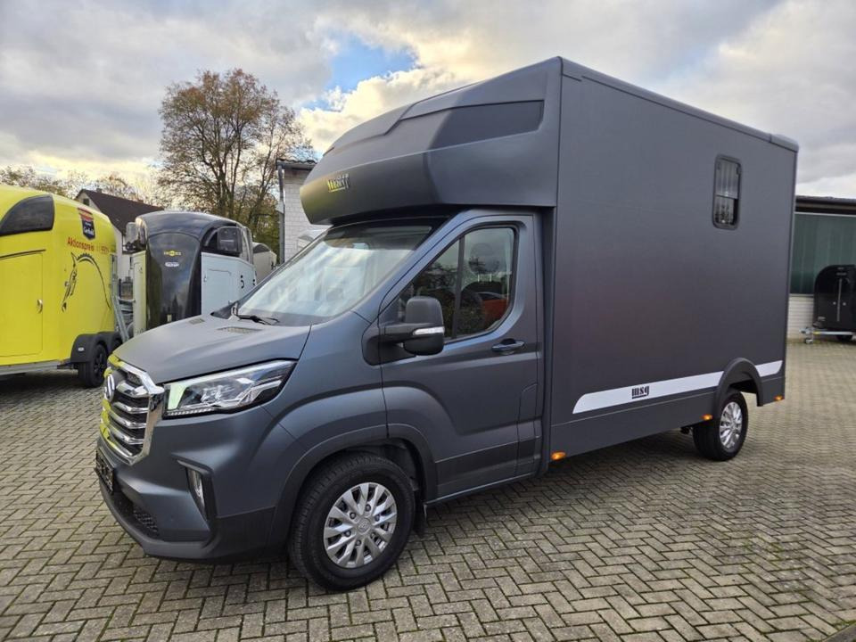 MSG Stablehopper Pferdetransporter Pferdeanhänger Böckmann - Camión para caballos: foto 1 MSG Stablehopper Pferdetransporter Pferdeanhänger Böckmann - Camión para caballos: foto 1