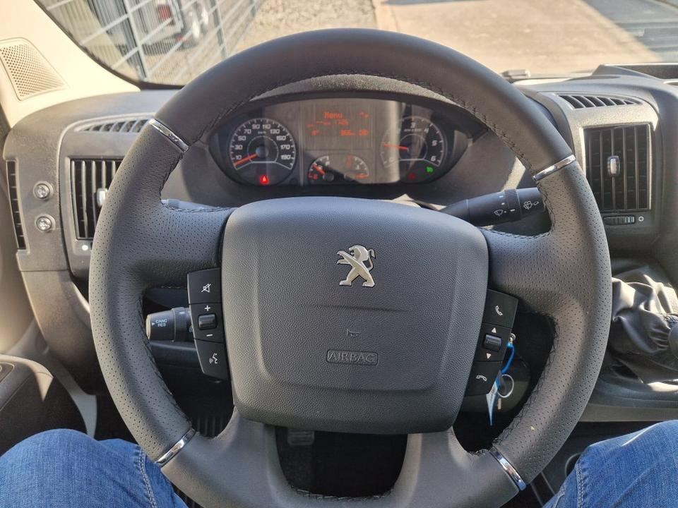 Camión para caballos MSG Stablehopper Pferdetransporter Pferdeanhänger Böckmann: foto 9