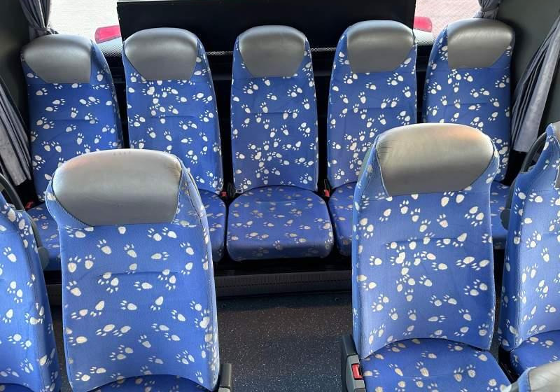 Autobús suburbano Setra 2 x S415 GT-UL  Euro-5: foto 20 Autobús suburbano Setra 2 x S415 GT-UL  Euro-5: foto 20