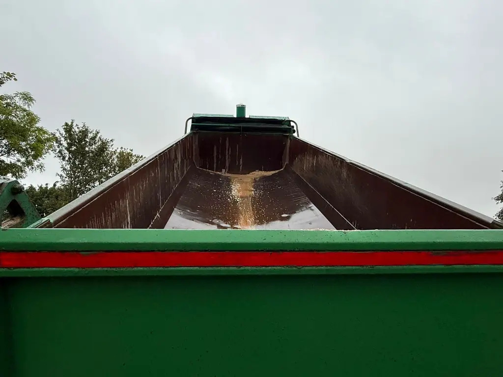 Camión volquete MAN TGS 35.400 8x4 Tipper - RHD (XSK): foto 11