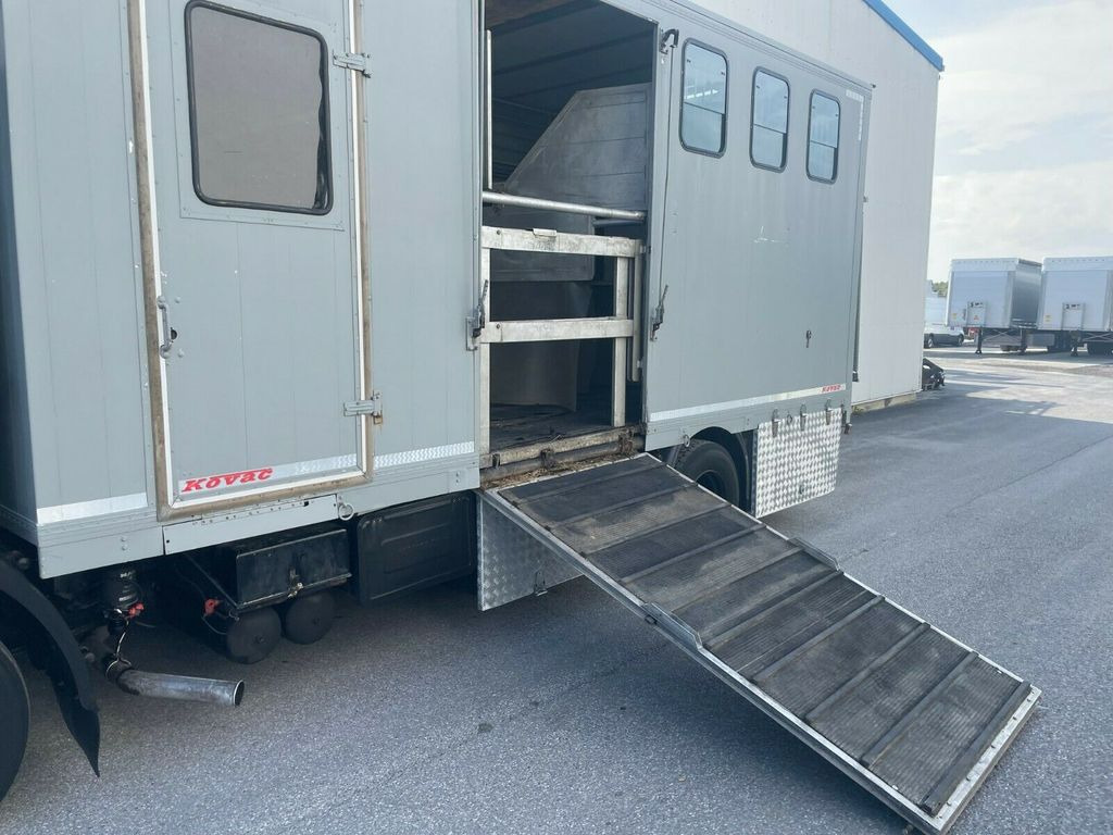 Leasing de MAN 12.192 Pferdetransporter MAN 12.192 Pferdetransporter MAN 12.192 Pferdetransporter MAN 12.192 Pferdetransporter: foto 13