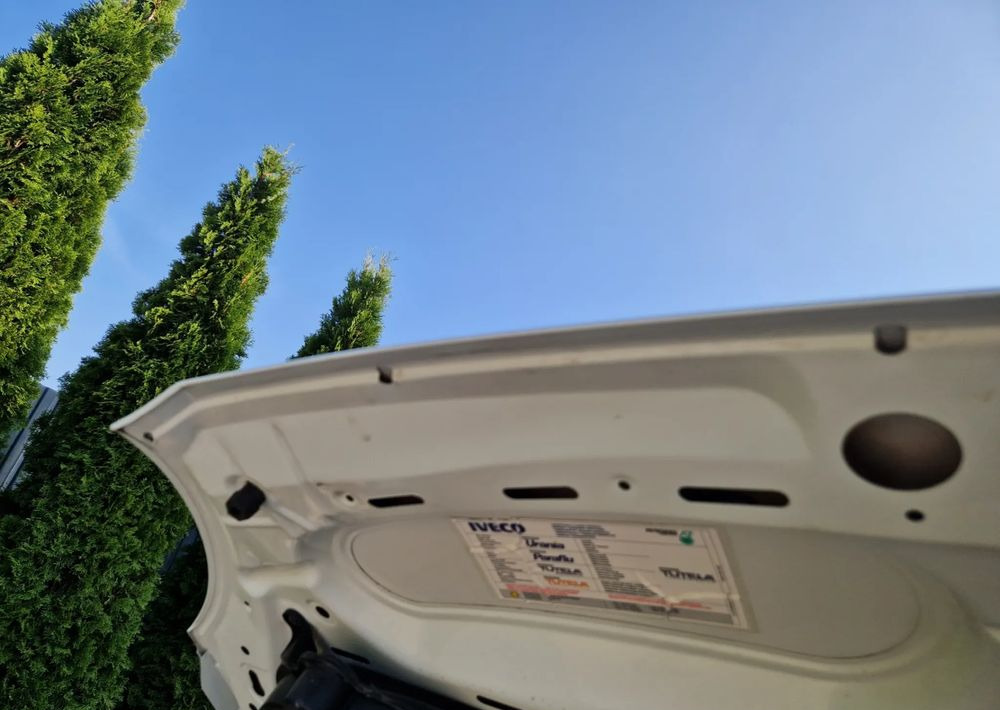 Furgoneta basculante Iveco 35C15 3.0: foto 18 Furgoneta basculante Iveco 35C15 3.0: foto 18