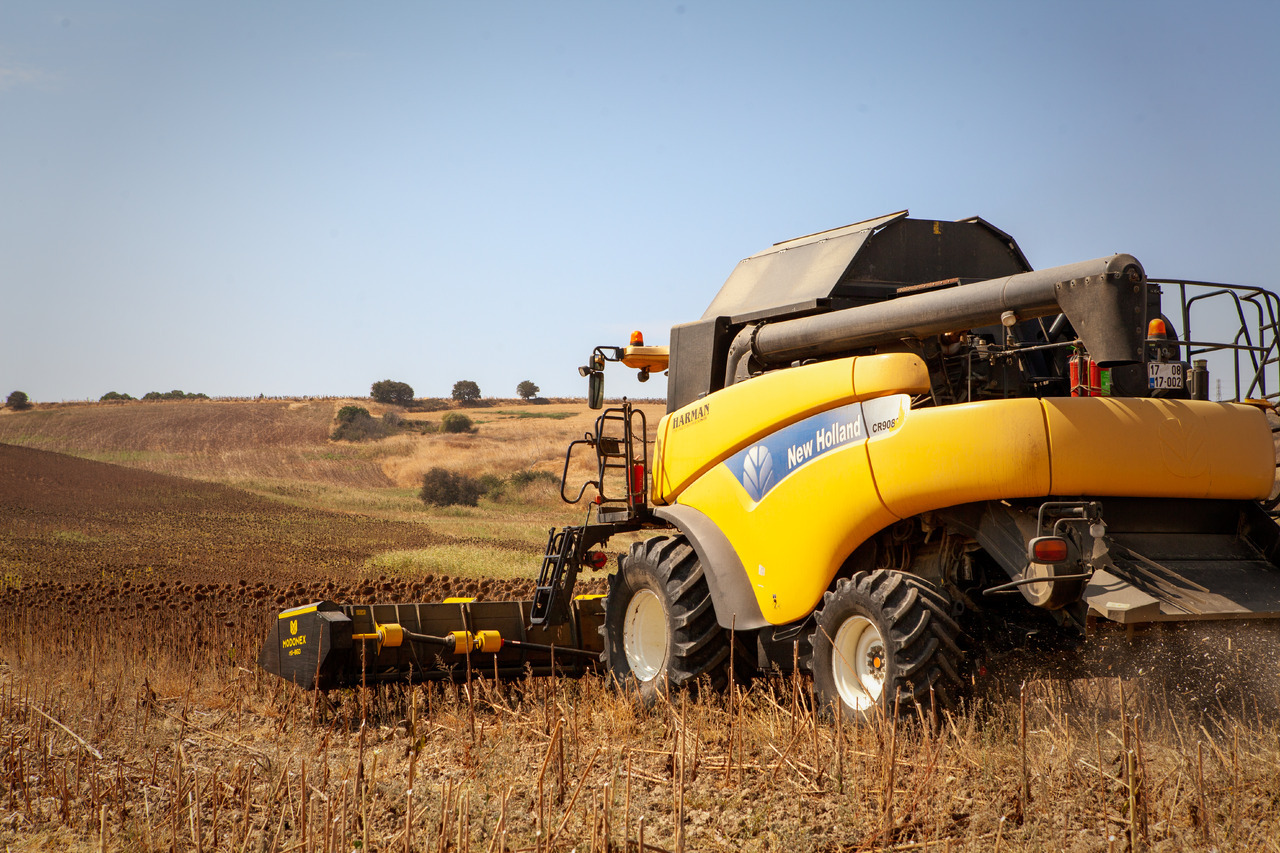 Modonex MX-630 - Cabezal de girasol: foto 3 Modonex MX-630 - Cabezal de girasol: foto 3