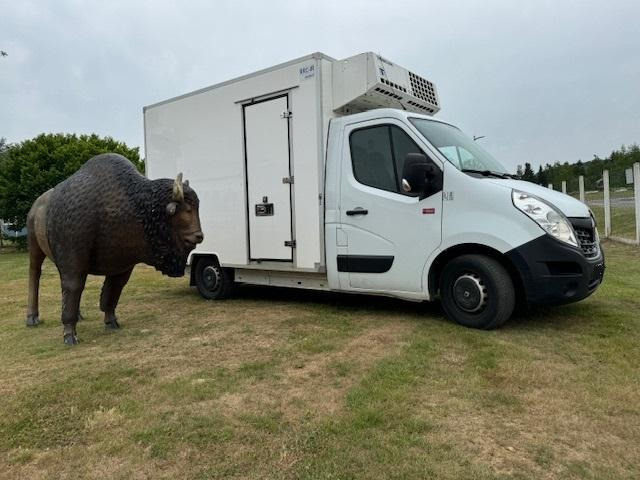 Renault Master - Furgoneta frigorifica: foto 5 Renault Master - Furgoneta frigorifica: foto 5