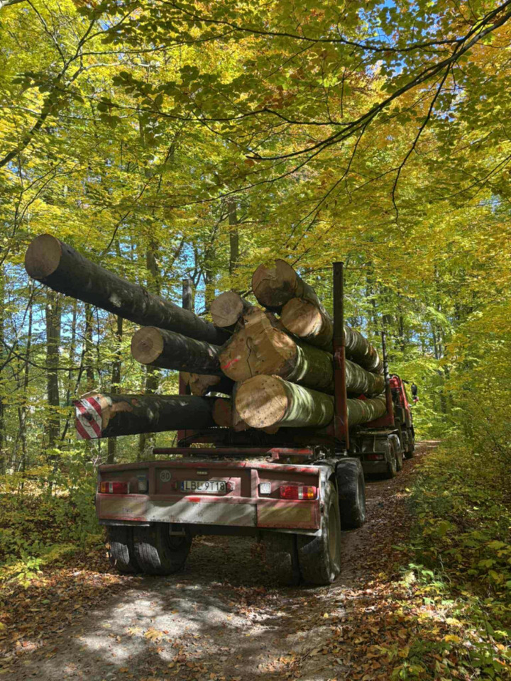 DAF CF510 - Camión forestal, Camión grúa: foto 3 DAF CF510 - Camión forestal, Camión grúa: foto 3