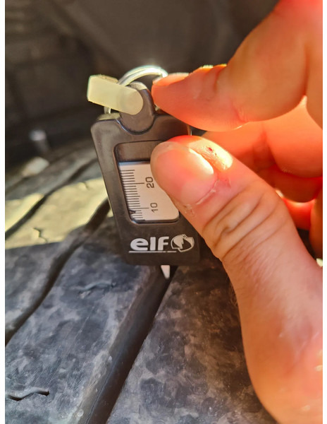 Camión caja abierta, Camión grúa MAN TGM 18.250 Open box + HIAB 166-3: foto 20