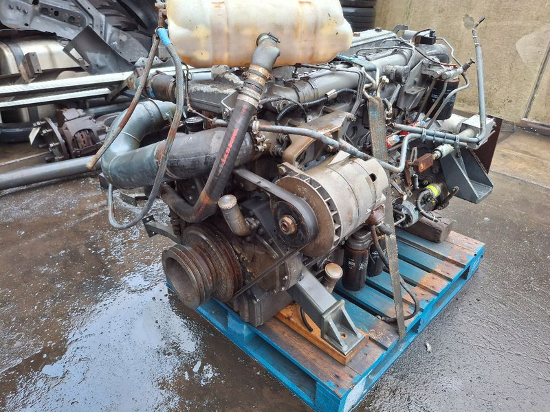 Motor DAF RS180M (75CF): foto 12 Motor DAF RS180M (75CF): foto 12