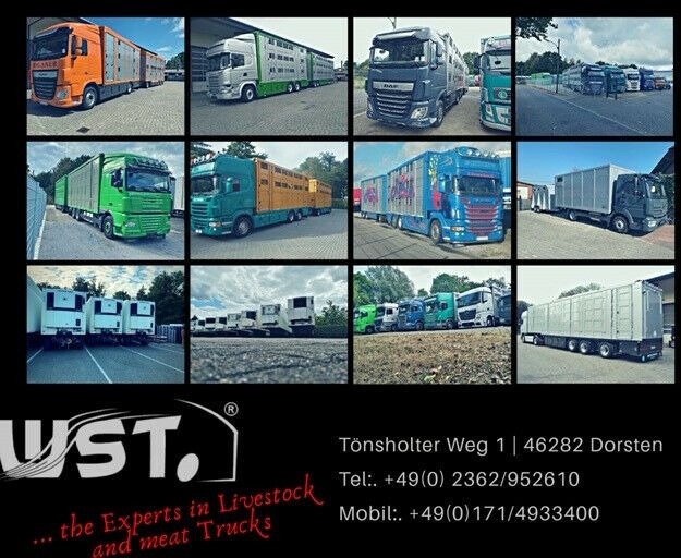 Camión para caballos DAF XF 410 SC Menke Doppelstock: foto 20