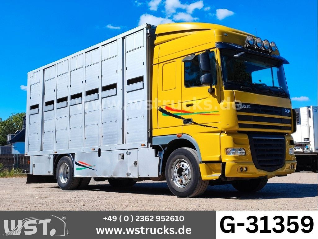 DAF XF 410 SC Menke Doppelstock - Camión para caballos: foto 1 DAF XF 410 SC Menke Doppelstock - Camión para caballos: foto 1