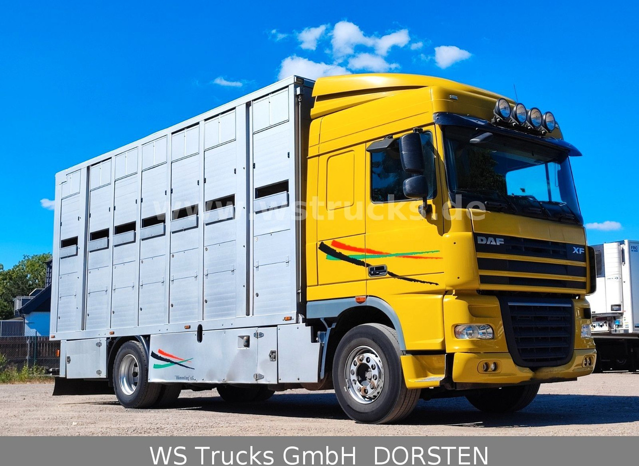DAF XF 410 SC Menke Doppelstock - Camión para caballos: foto 2 DAF XF 410 SC Menke Doppelstock - Camión para caballos: foto 2