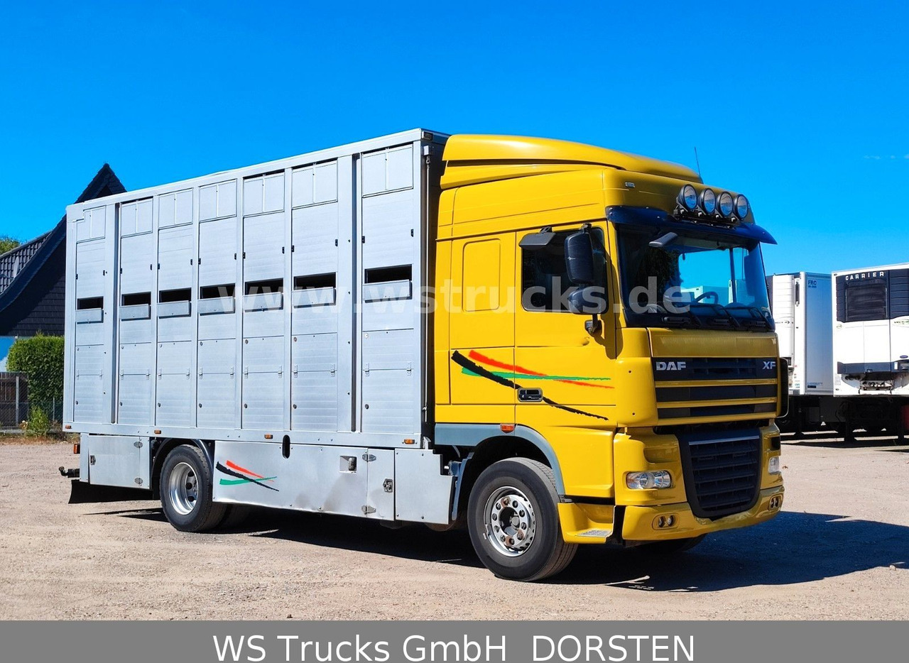 Camión para caballos DAF XF 410 SC Menke Doppelstock: foto 8