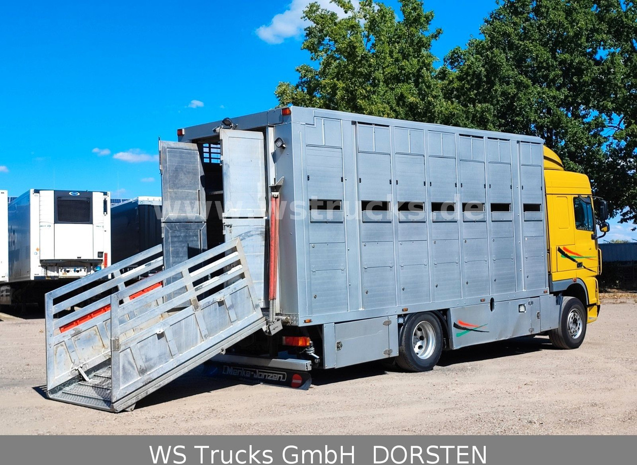 Camión para caballos DAF XF 410 SC Menke Doppelstock: foto 10