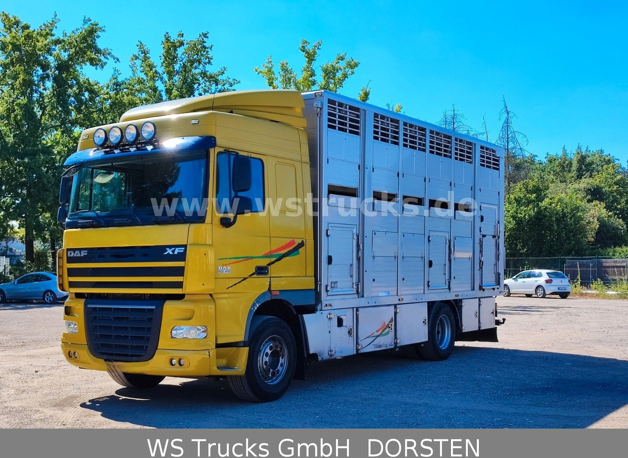 Camión para caballos DAF XF 410 SC Menke Doppelstock: foto 9