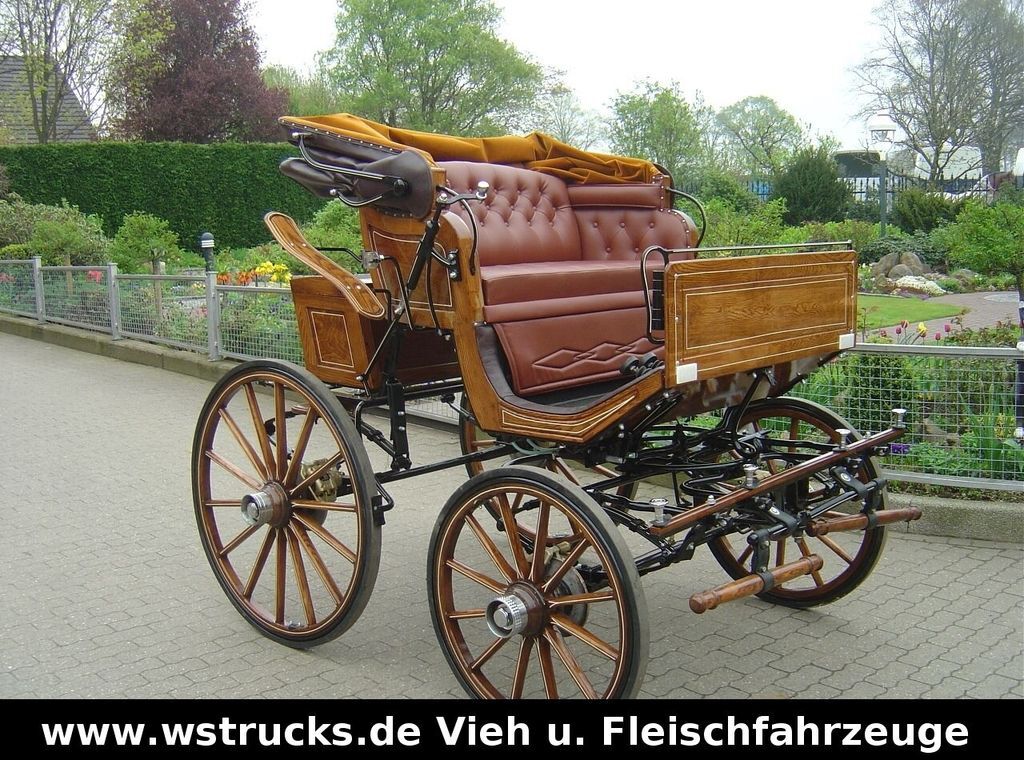 Exclusiver Doktorwagen Inzahlungn. v. Pferden - Remolque transporte de ganado: foto 4 Exclusiver Doktorwagen Inzahlungn. v. Pferden - Remolque transporte de ganado: foto 4