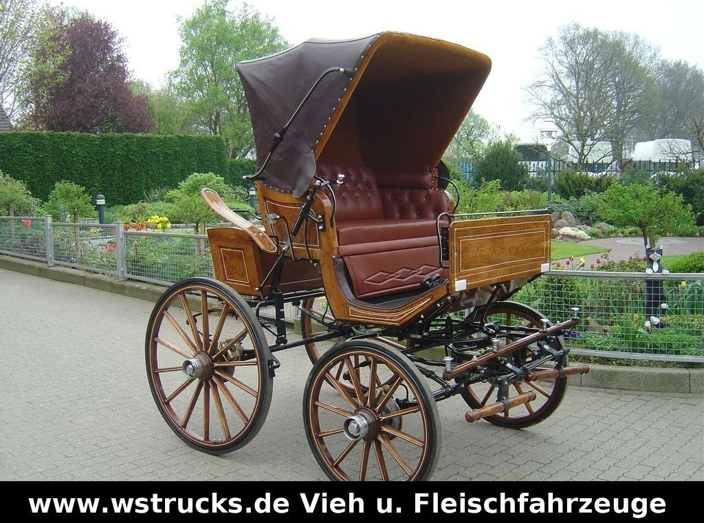 Exclusiver Doktorwagen Inzahlungn. v. Pferden - Remolque transporte de ganado: foto 1 Exclusiver Doktorwagen Inzahlungn. v. Pferden - Remolque transporte de ganado: foto 1