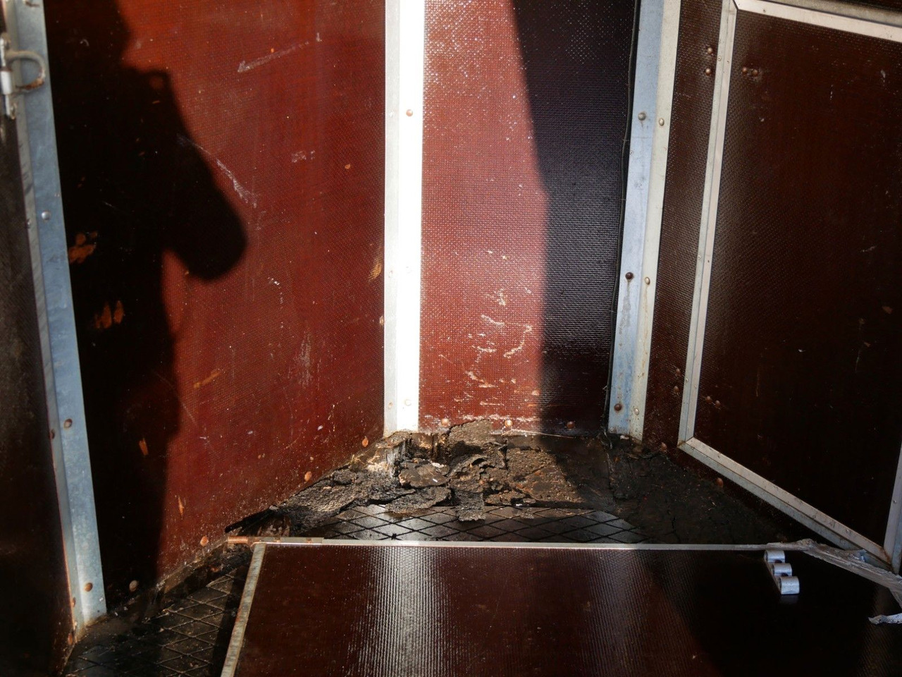 Remolque transporte de ganado Holz Poly 2 Pferde: foto 6