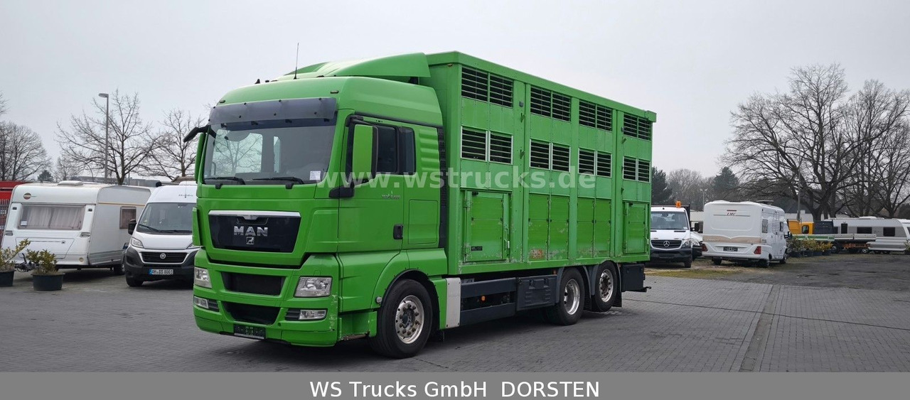 MAN TGX 26.480 XL KABA 3 Stock Vollalu - Camión para caballos: foto 2 MAN TGX 26.480 XL KABA 3 Stock Vollalu - Camión para caballos: foto 2