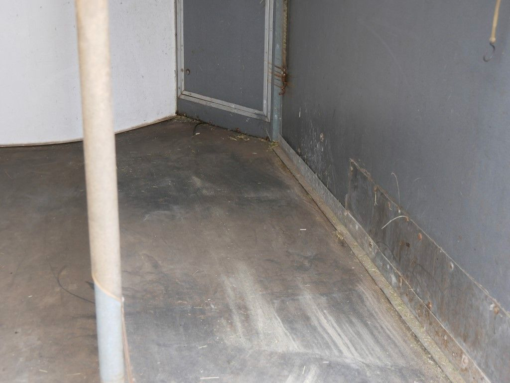 Westeria 2 Pferde Westeria 2 Pferde - Remolque para caballos: foto 5 Westeria 2 Pferde Westeria 2 Pferde - Remolque para caballos: foto 5