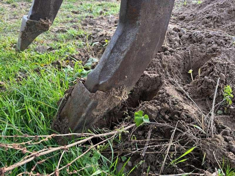 Bulldozer Komatsu D65EX-12: foto 36