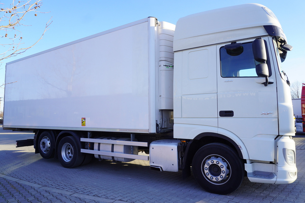 DAF XF 480 EURO 6/ 2021 / Lamberet Refrigerator / Carrier Vector 1550 - Camión frigorífico: foto 4 DAF XF 480 EURO 6/ 2021 / Lamberet Refrigerator / Carrier Vector 1550 - Camión frigorífico: foto 4