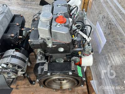 Motor LOMBARDINI LDW1503 Quantity of (2) (Unused): foto 10