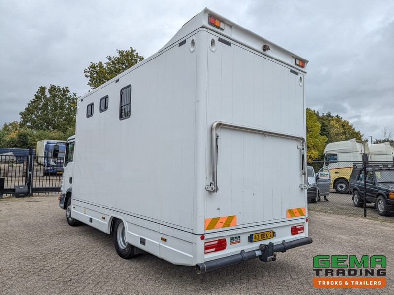 MAN TGL 12.250 4x2 Euro5 EEV RC HorseTruck - 2a3 Paards - 135.000km - MARGE (V821) - Camión para caballos: foto 4 MAN TGL 12.250 4x2 Euro5 EEV RC HorseTruck - 2a3 Paards - 135.000km - MARGE (V821) - Camión para caballos: foto 4