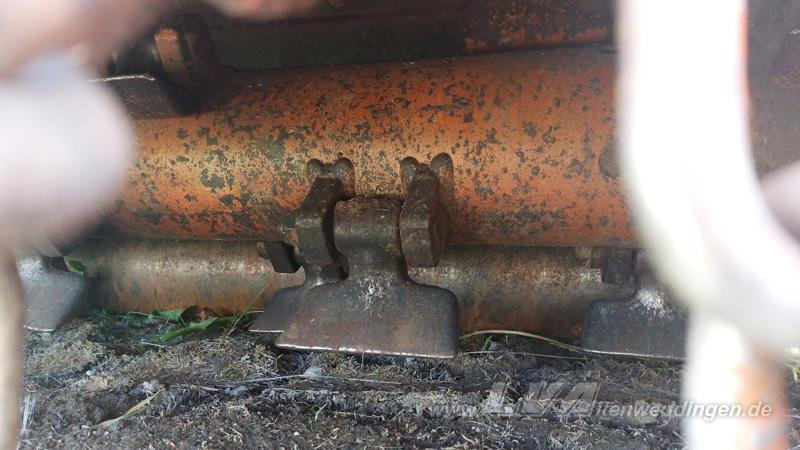 Desbrozadora de martillos/ Trituradora Berti TRINCIARGINI WING 250: foto 7 Desbrozadora de martillos/ Trituradora Berti TRINCIARGINI WING 250: foto 7