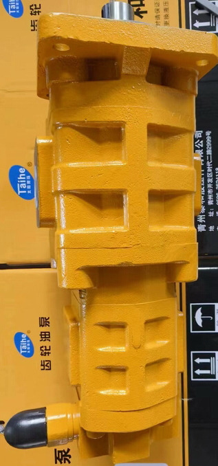 Qingdao Promising Hydraulic Double Gear Pumps Fit China Loader - Bomba hidráulica para Cargadora de ruedas: foto 4 Qingdao Promising Hydraulic Double Gear Pumps Fit China Loader - Bomba hidráulica para Cargadora de ruedas: foto 4