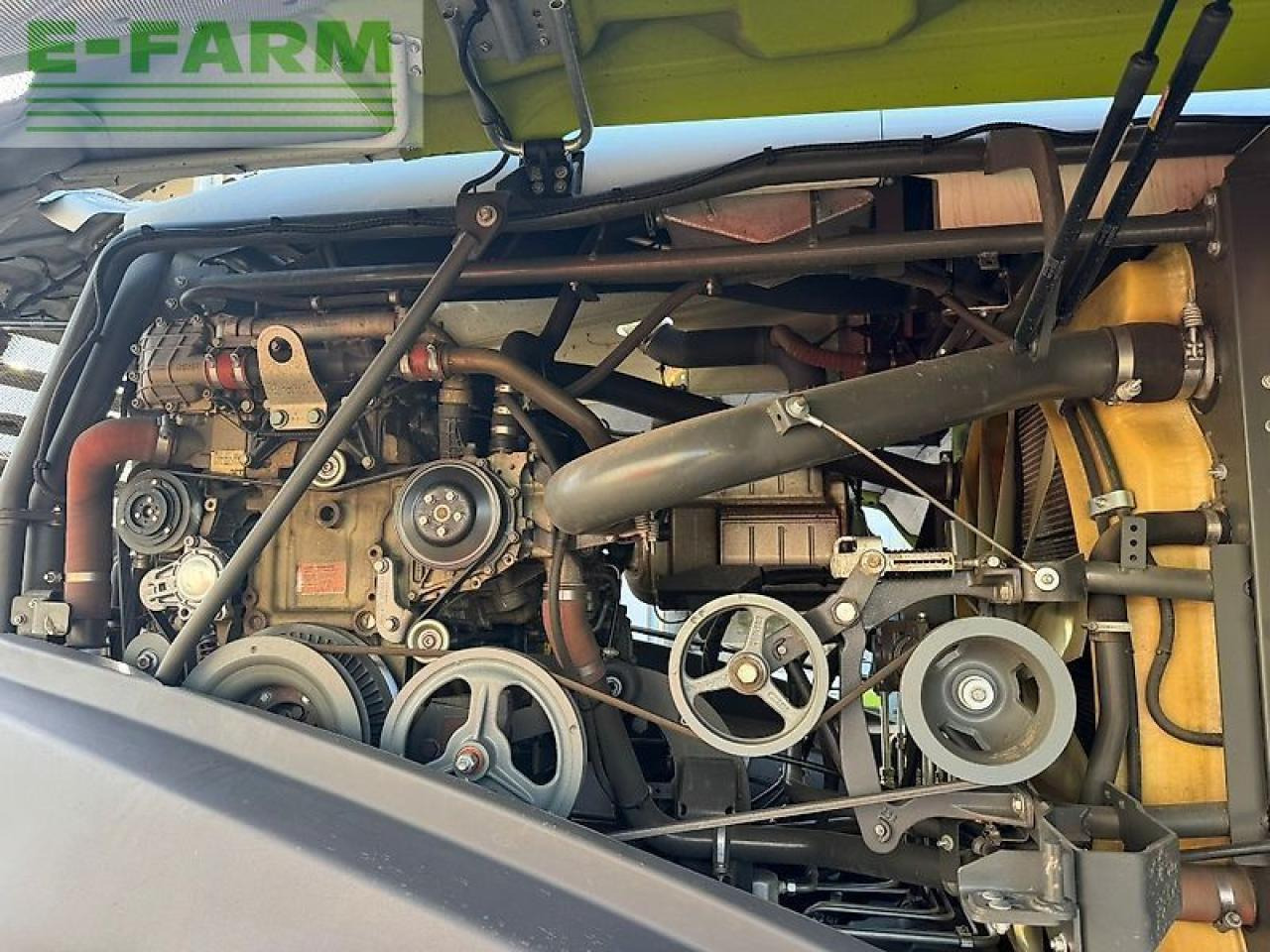 Cosechadora de forraje CLAAS jaguar 860: foto 22