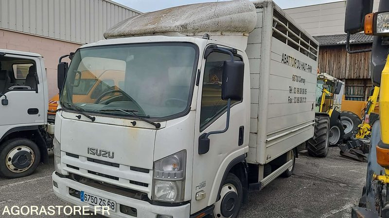 Bétaillère abattoir ISUZU - 2008 - Camión transporte de ganado: foto 1 Bétaillère abattoir ISUZU - 2008 - Camión transporte de ganado: foto 1