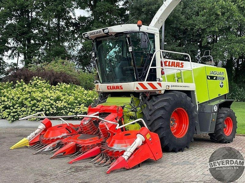 Claas Jaguar 830 492 - Maquinaria agrícola: foto 1 Claas Jaguar 830 492 - Maquinaria agrícola: foto 1