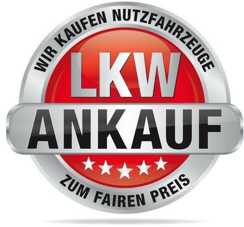 Cabeza tractora MAN 18.460 TGX XXL 4x2, Spoiler, Intarder, 2x Tank: foto 12