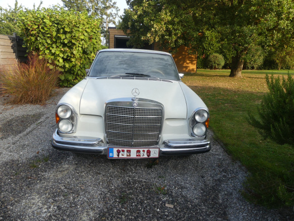 Voiture ancêtre Mercedes-Benz 280S (1972-72.399 km)( Vin: 10801610091315) - Coche: foto 1 Voiture ancêtre Mercedes-Benz 280S (1972-72.399 km)( Vin: 10801610091315) - Coche: foto 1