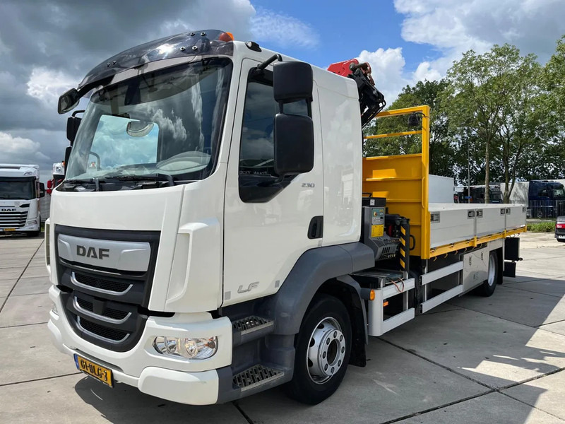 DAF LF 230 FA - Camión grúa: foto 1 DAF LF 230 FA - Camión grúa: foto 1