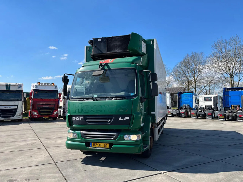 Camión frigorífico DAF LF 55 FA: foto 13